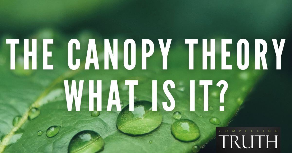 The canopy theory What is it?