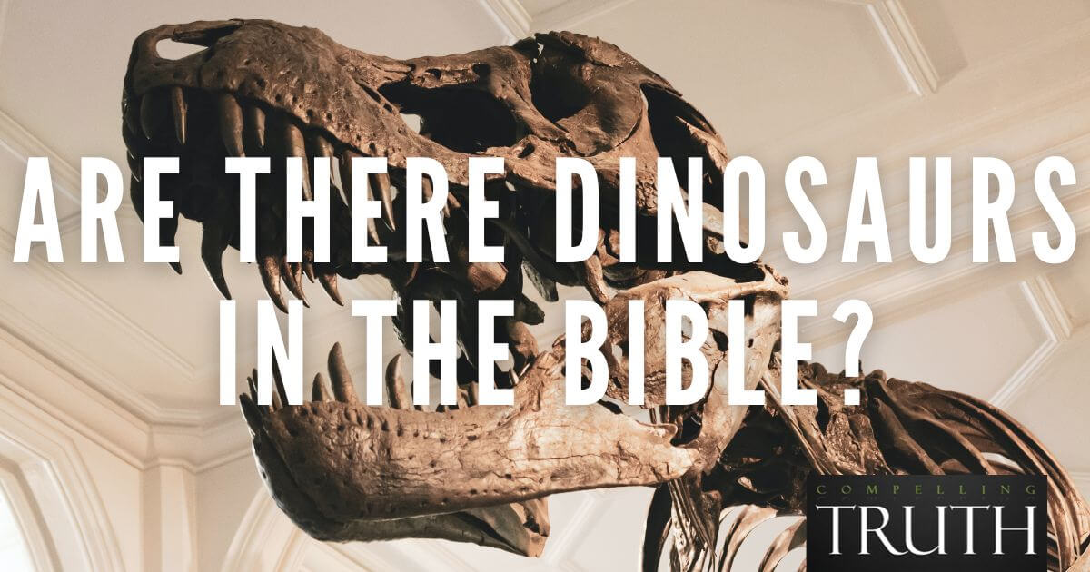 Dinosaurs In The Bible