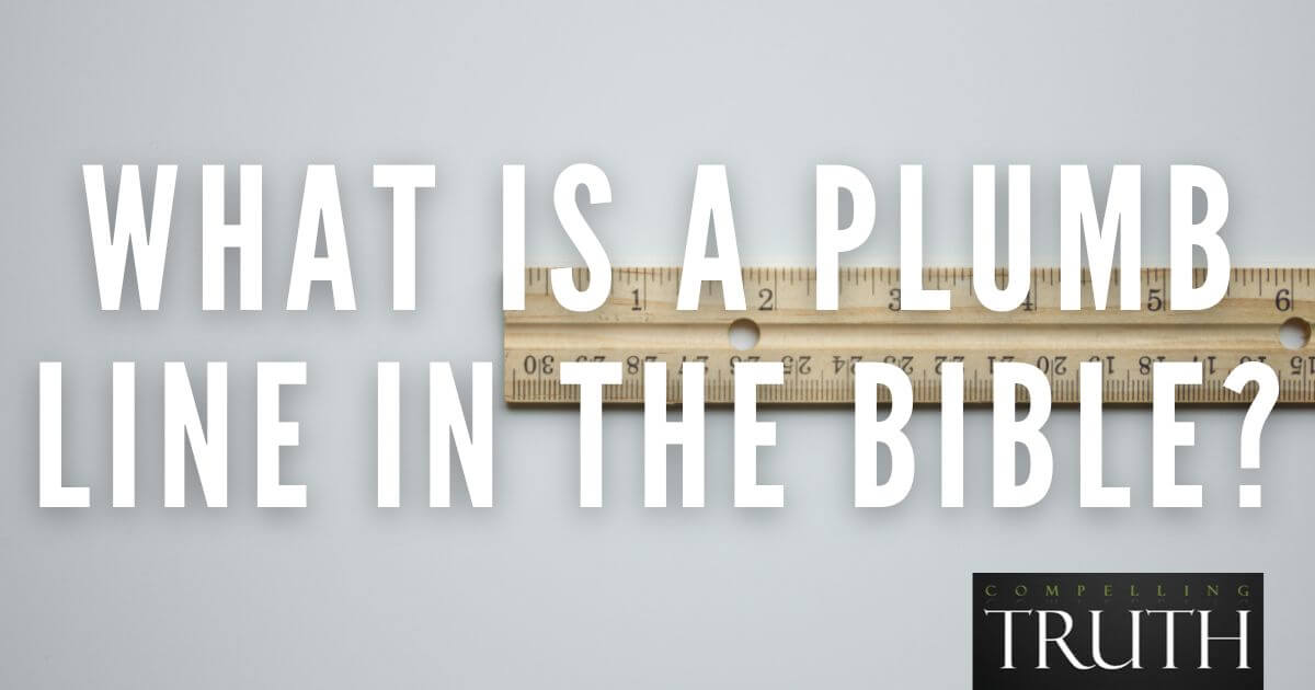 What is a plumb line in the Bible?