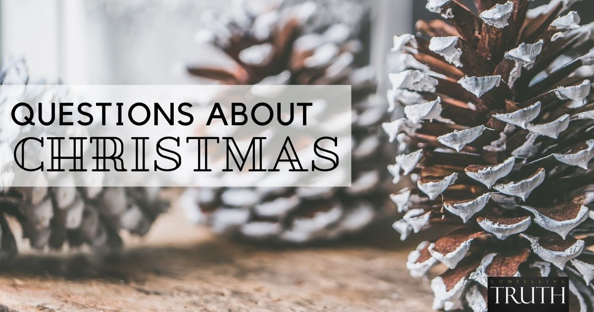 The Truth about Holidays