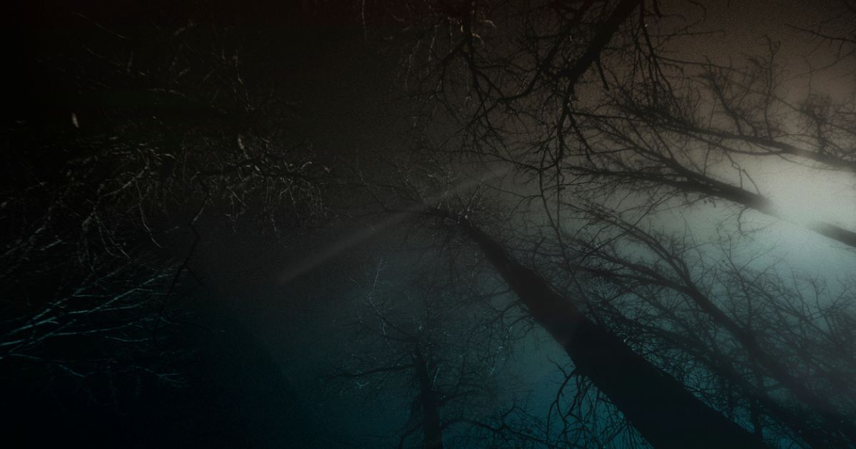 featured article image