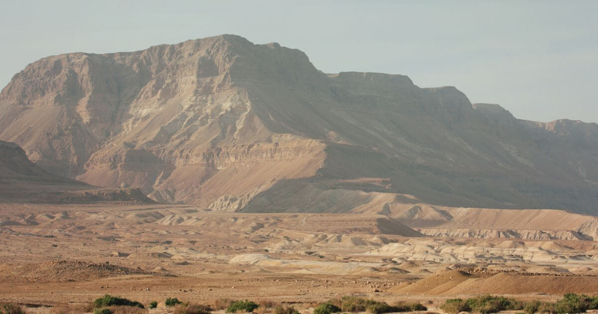 featured article image