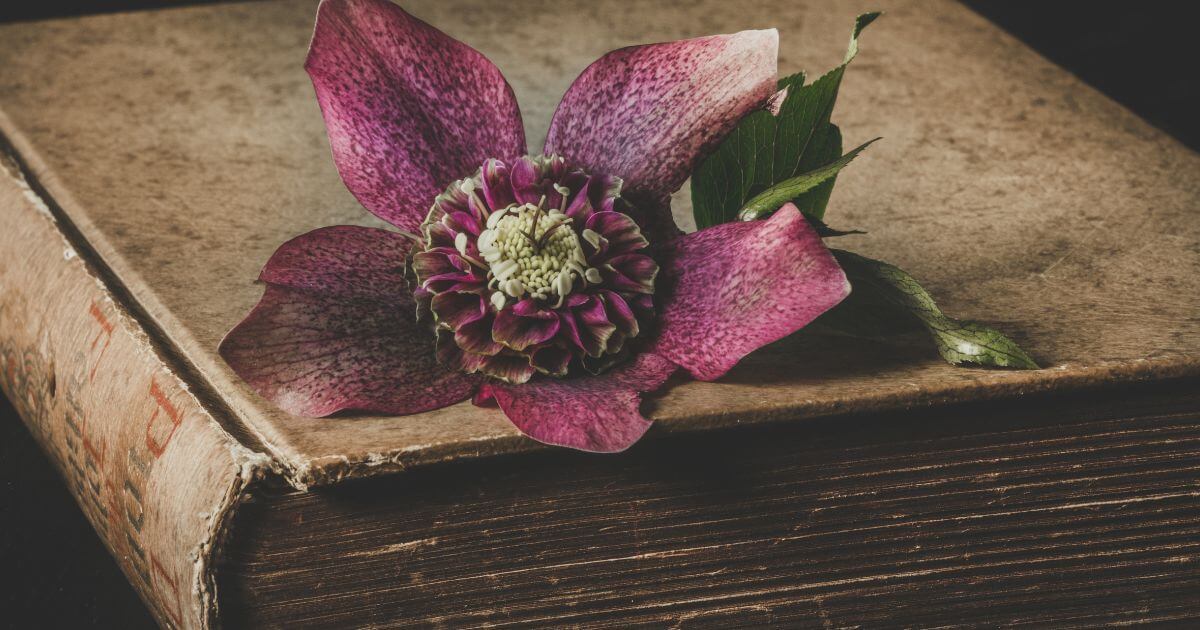 featured article image