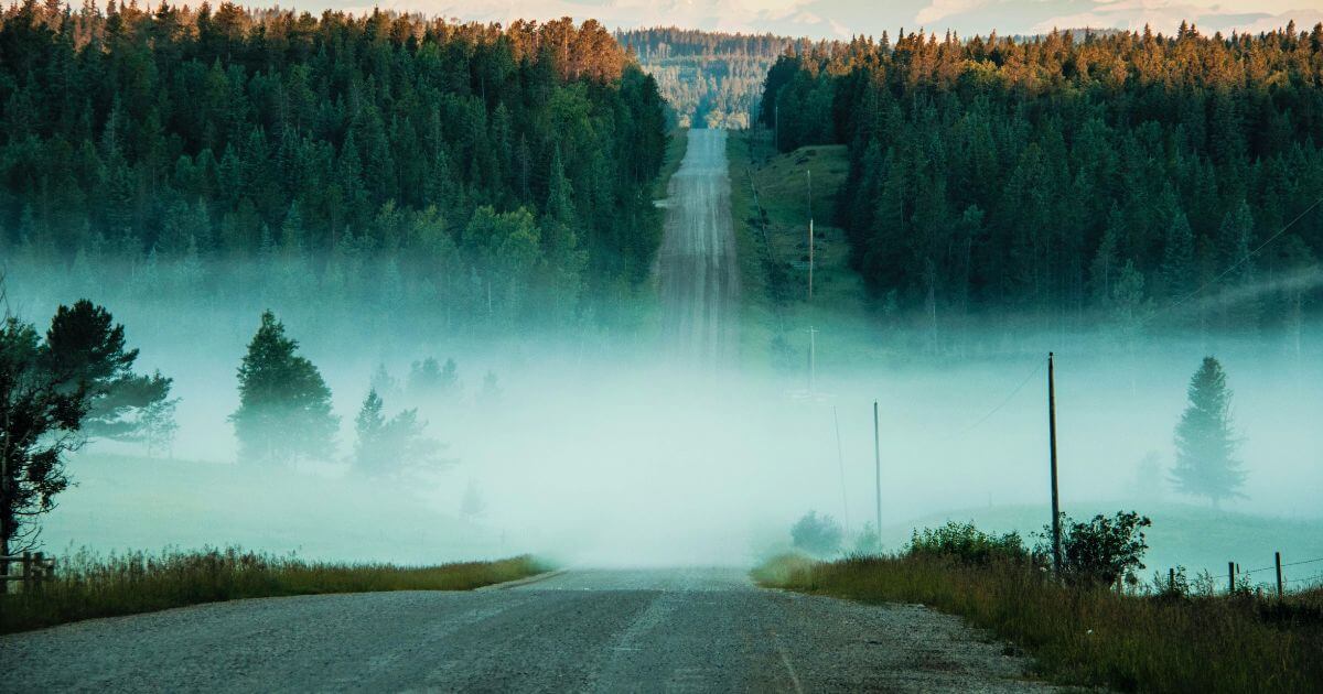 featured article image