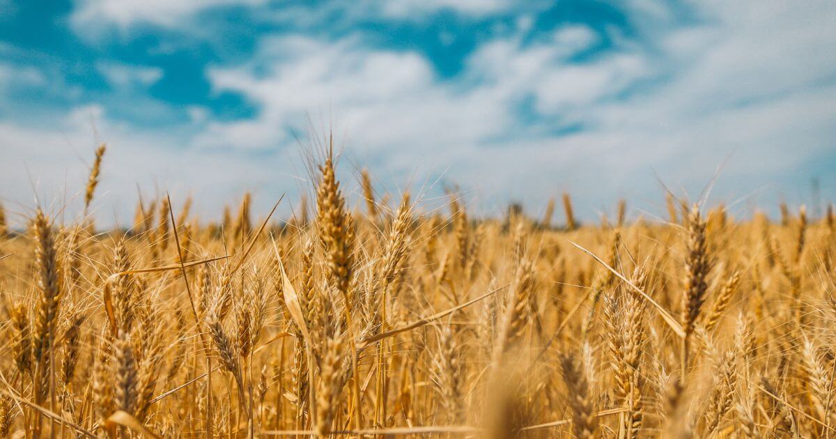 featured article image