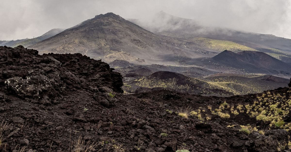 featured article image