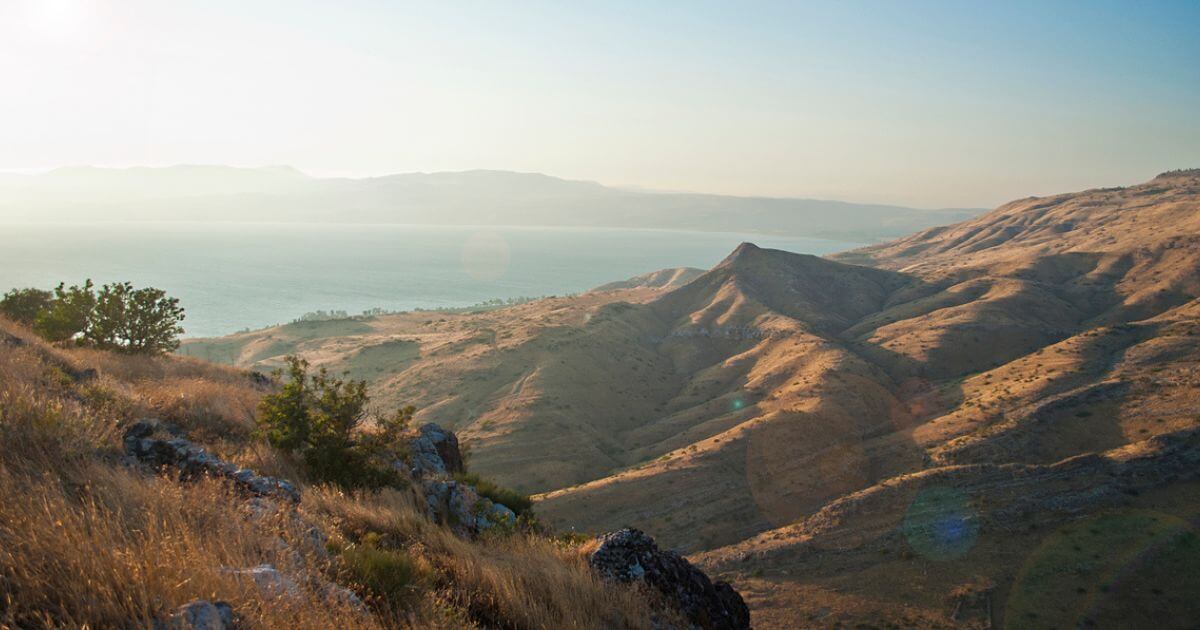 featured article image