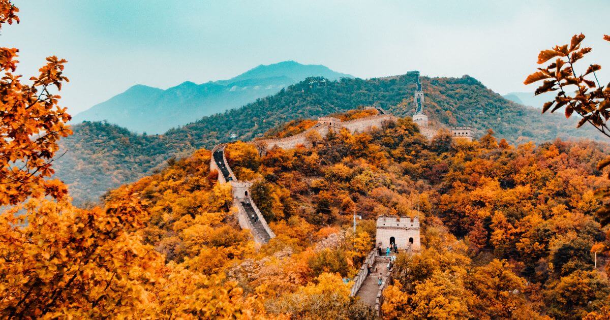 featured article image