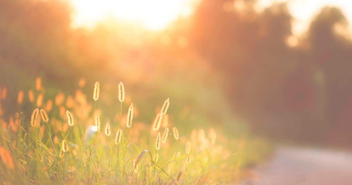 featured article image