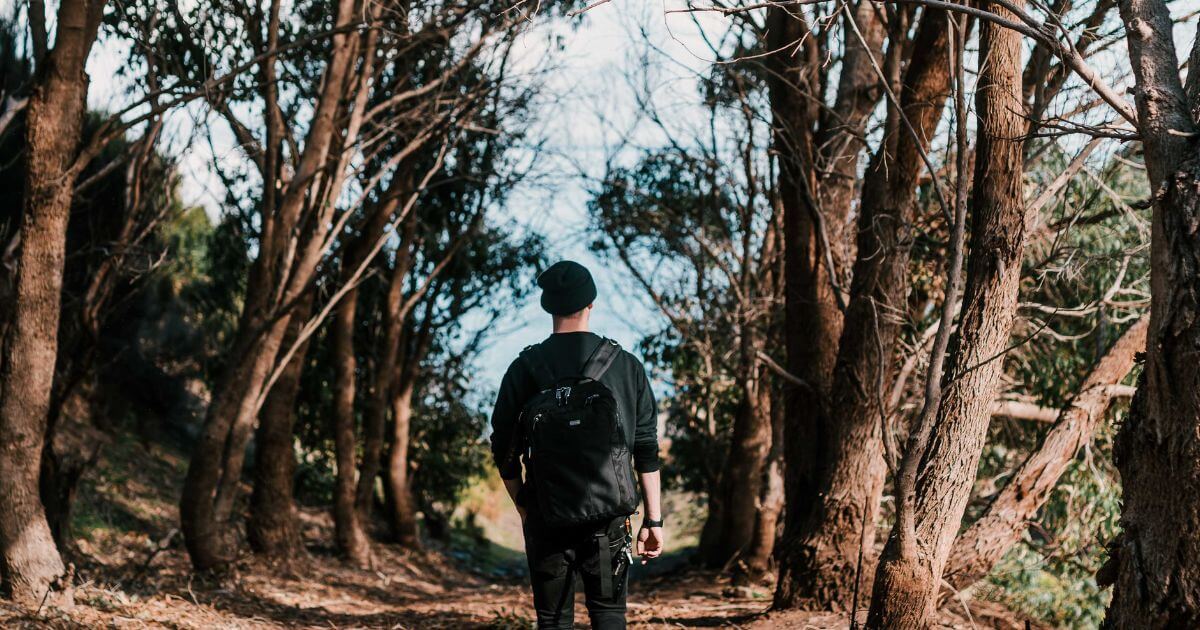 featured article image