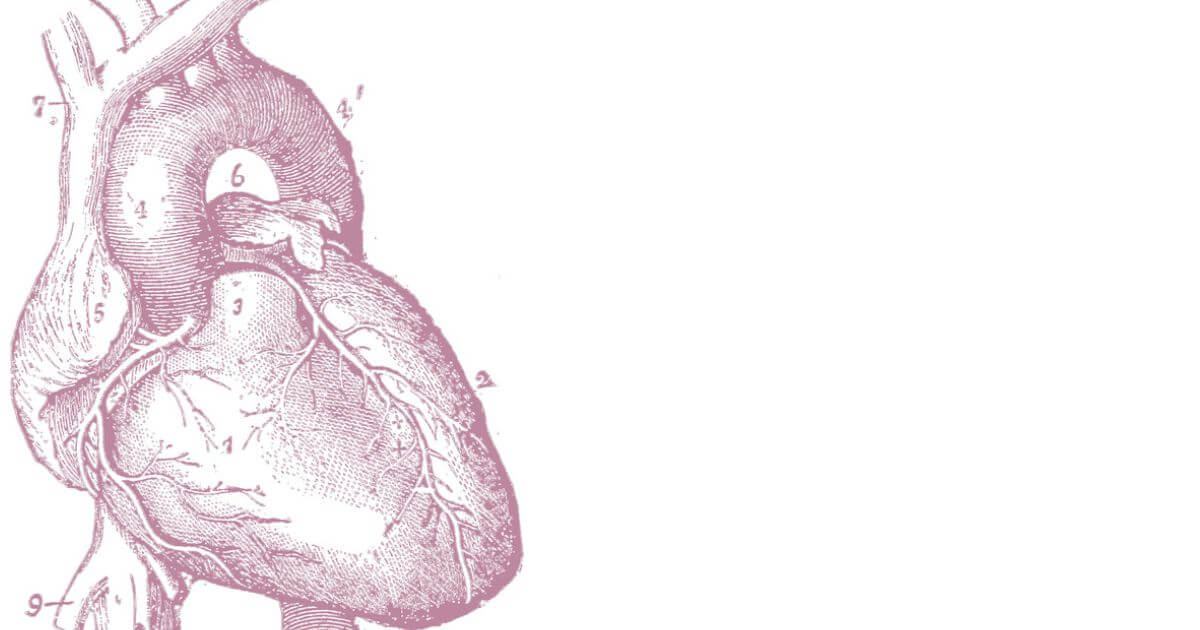 featured article image