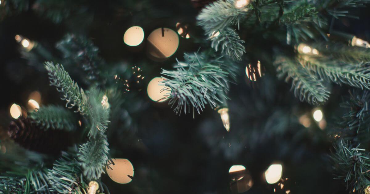 featured article image