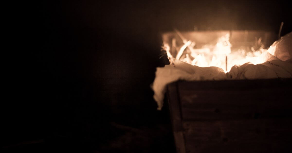 featured article image