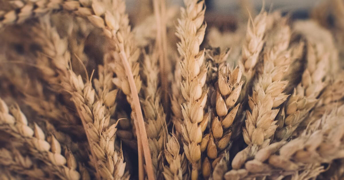 featured article image