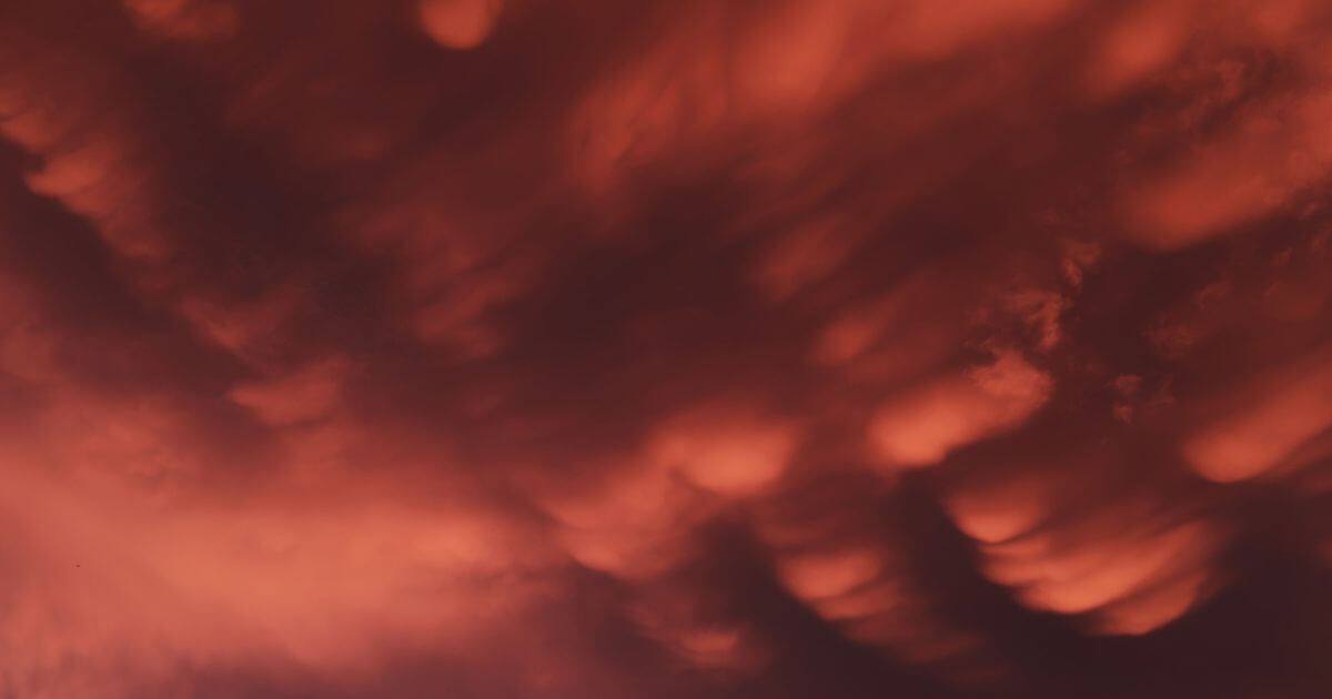 featured article image