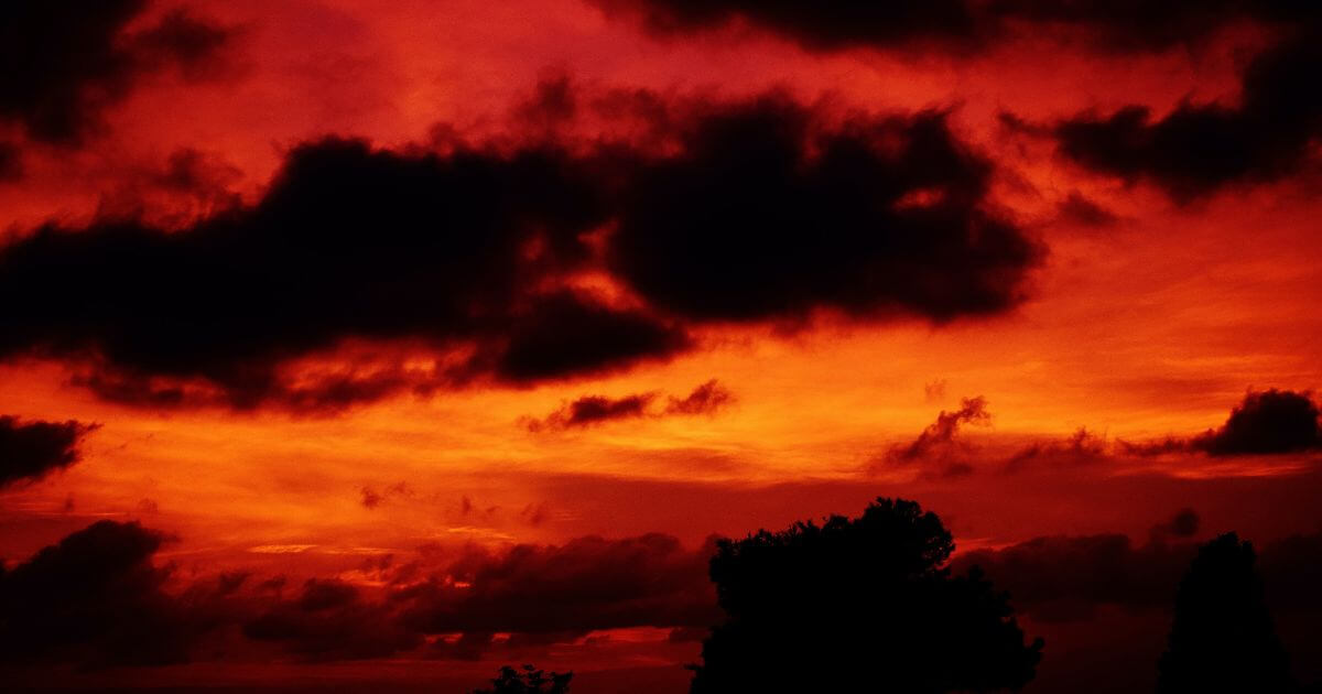 featured article image