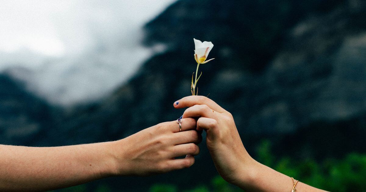 featured article image