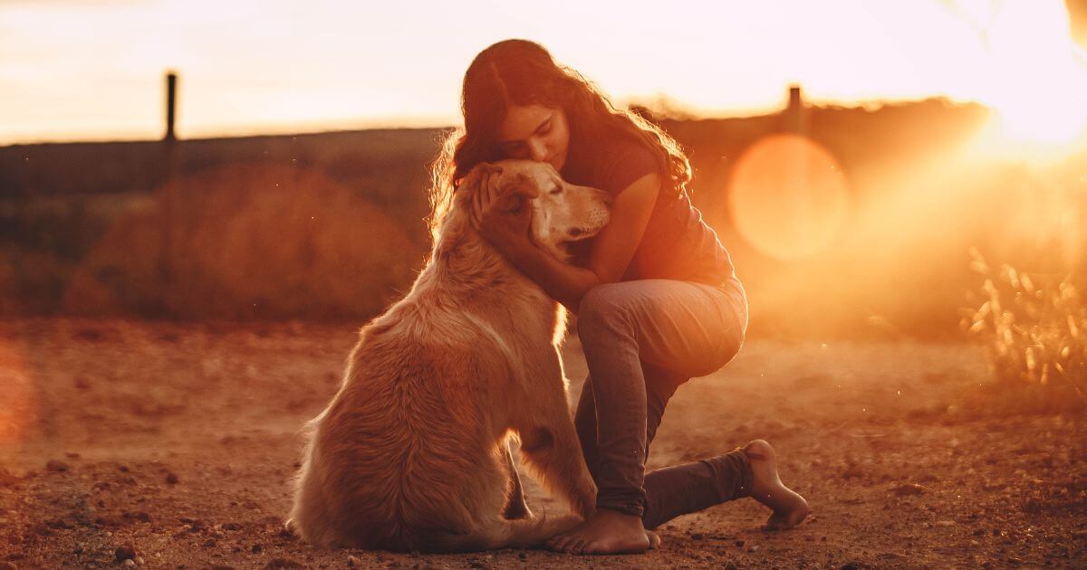 featured article image