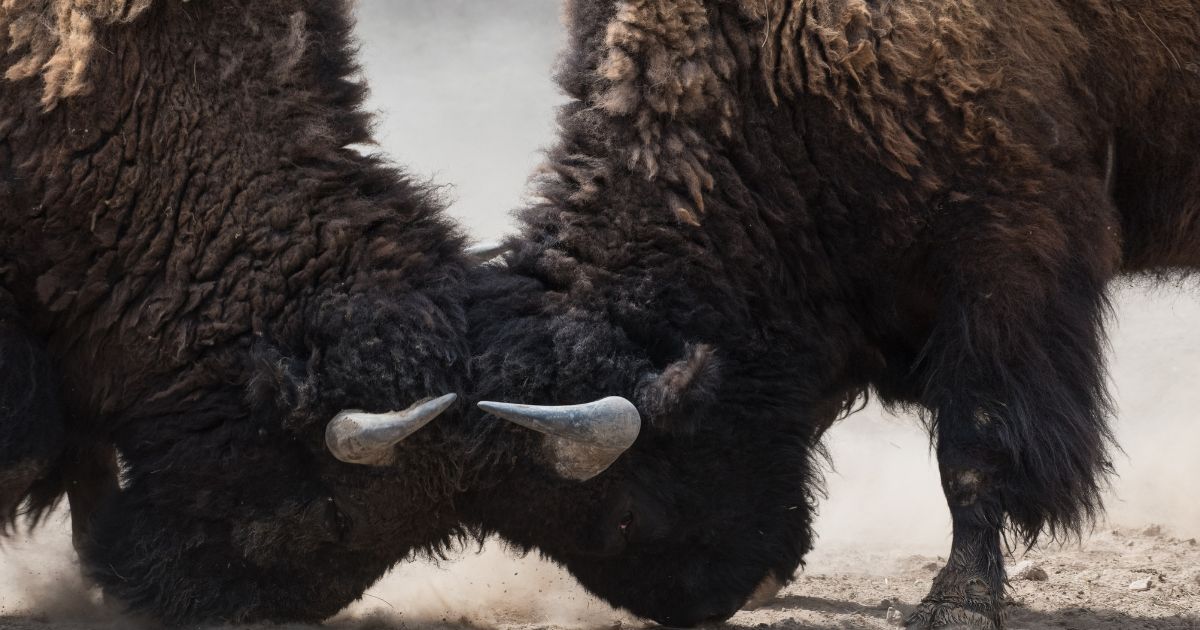 featured article image