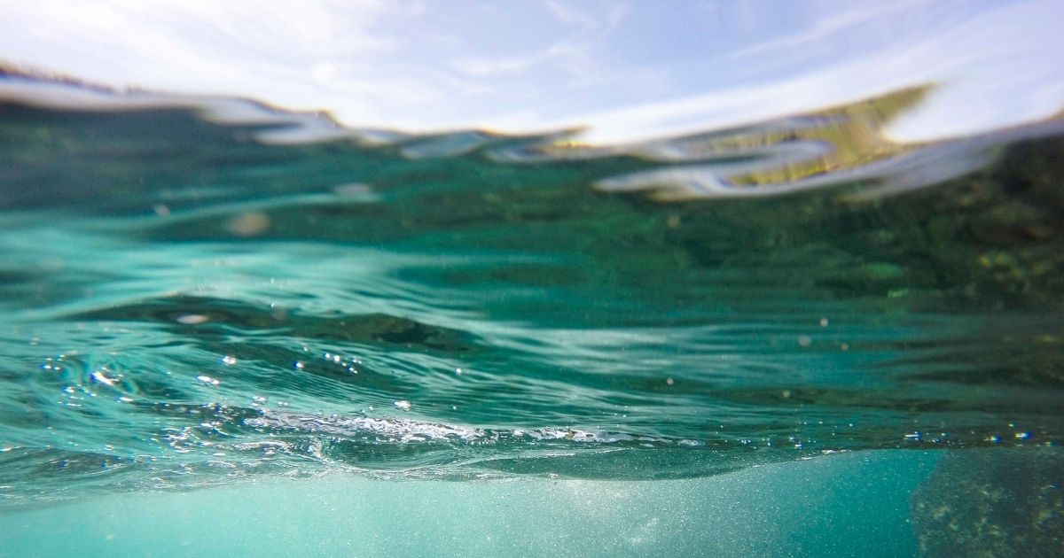 featured article image