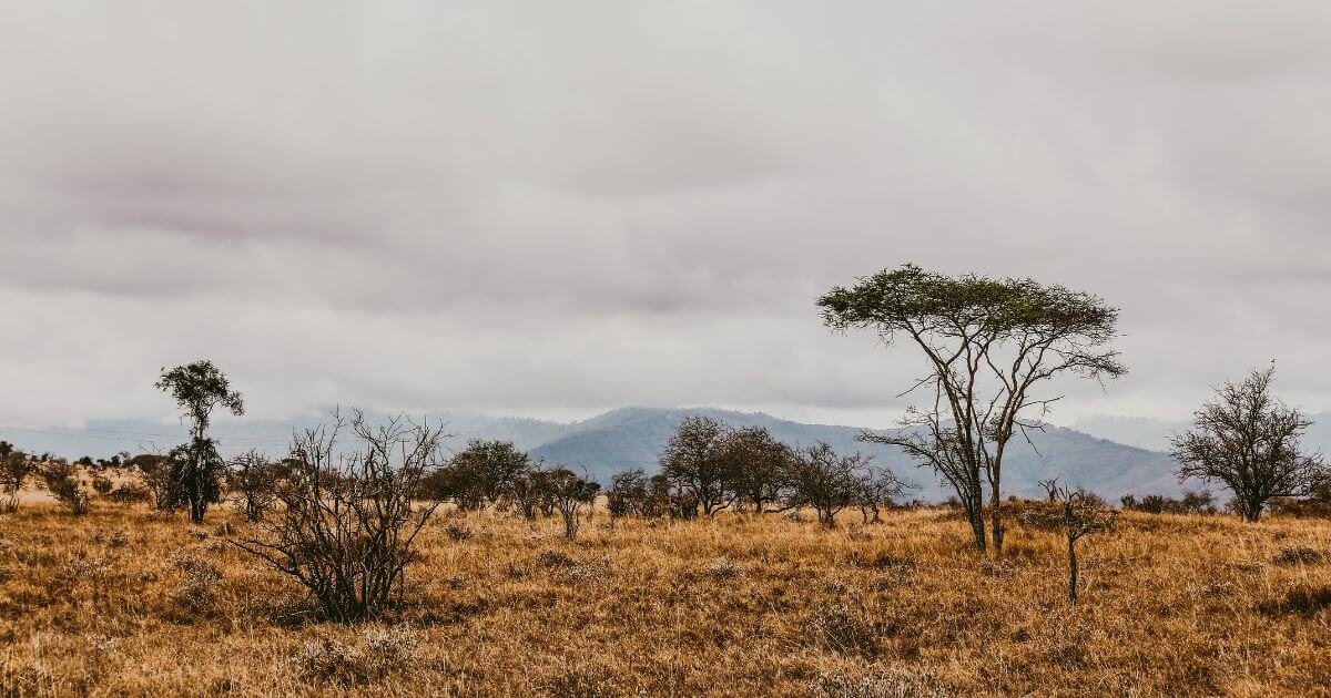 featured article image