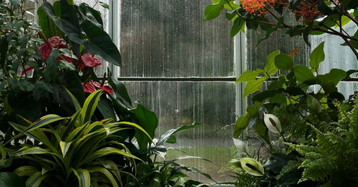 featured article image