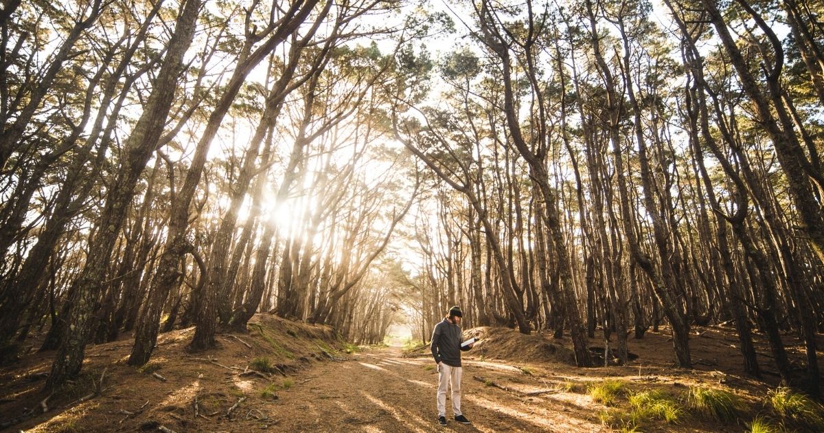 featured article image