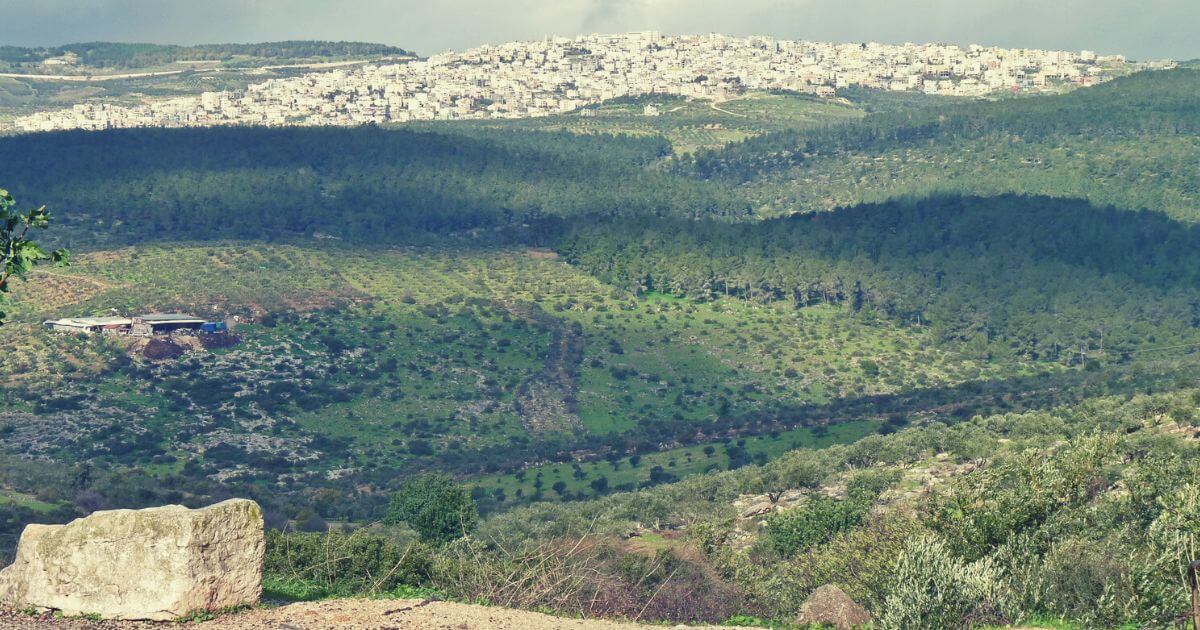 featured article image