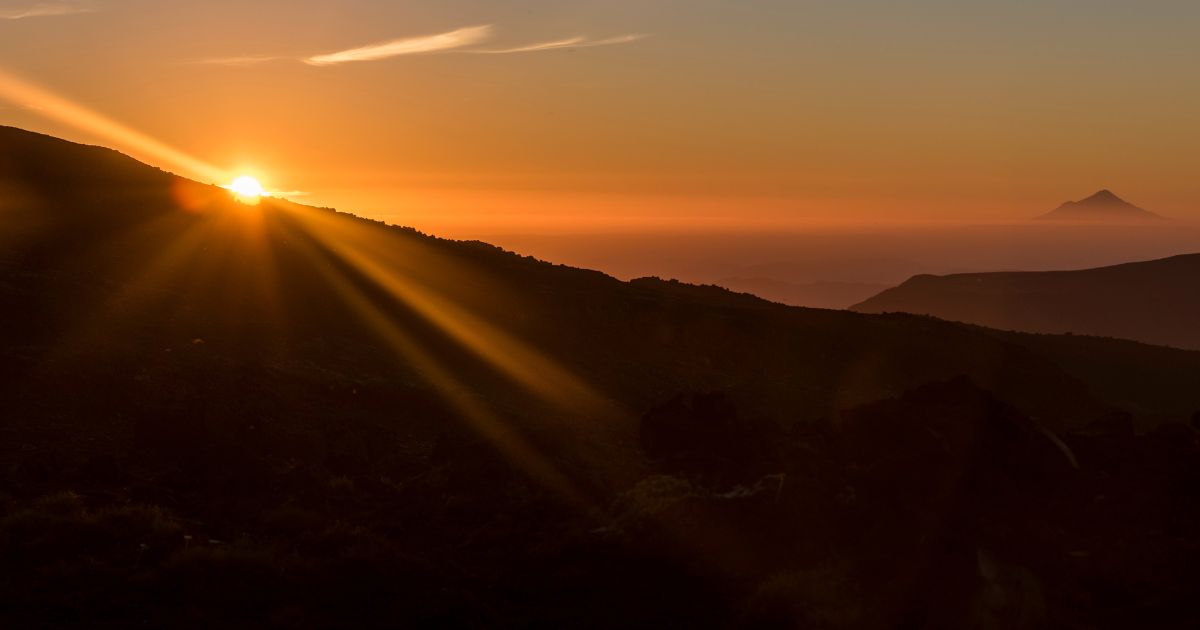 featured article image