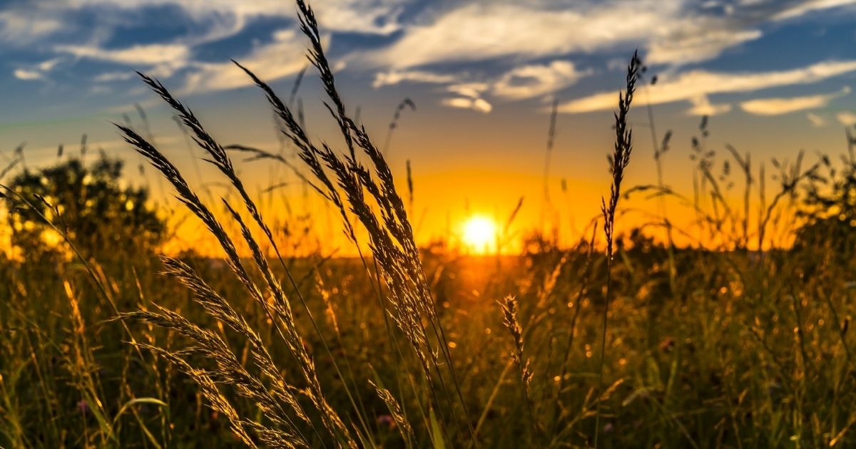 featured article image