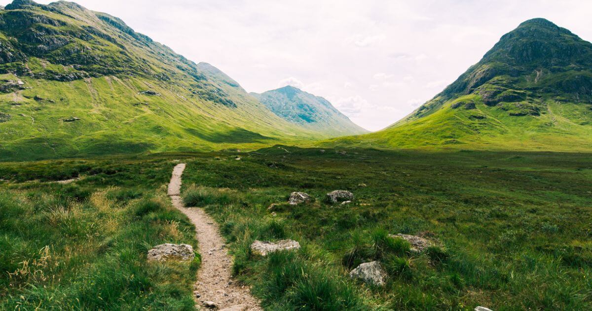 featured article image