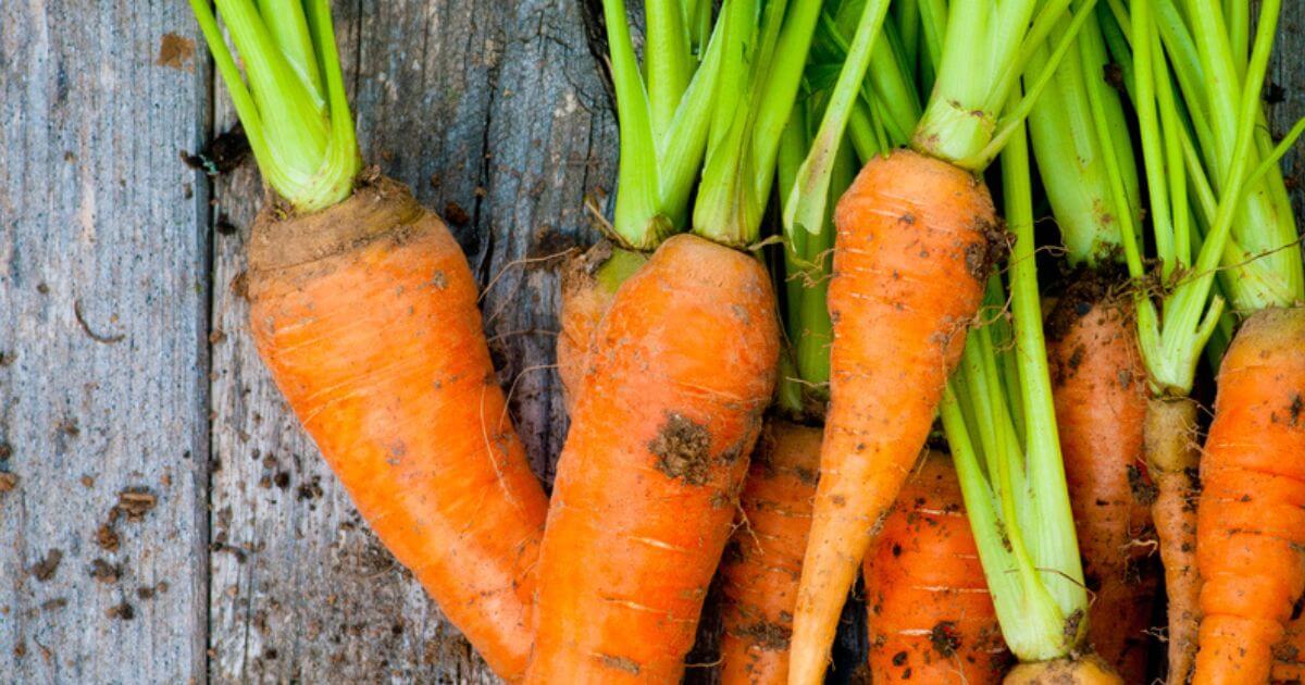 featured article image