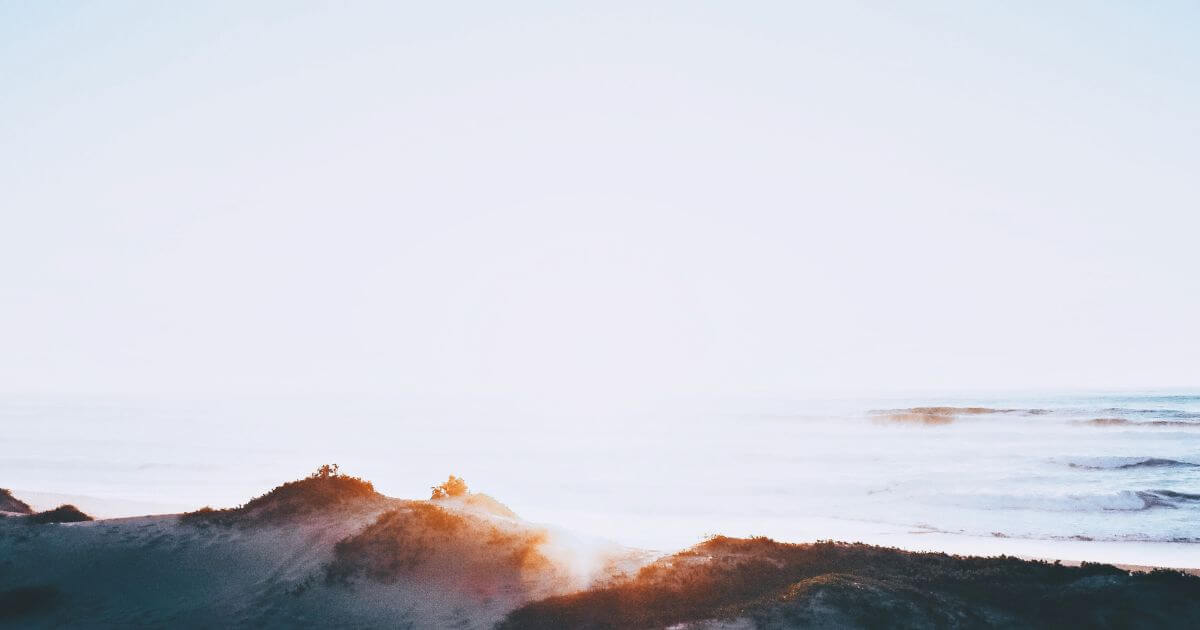 featured article image