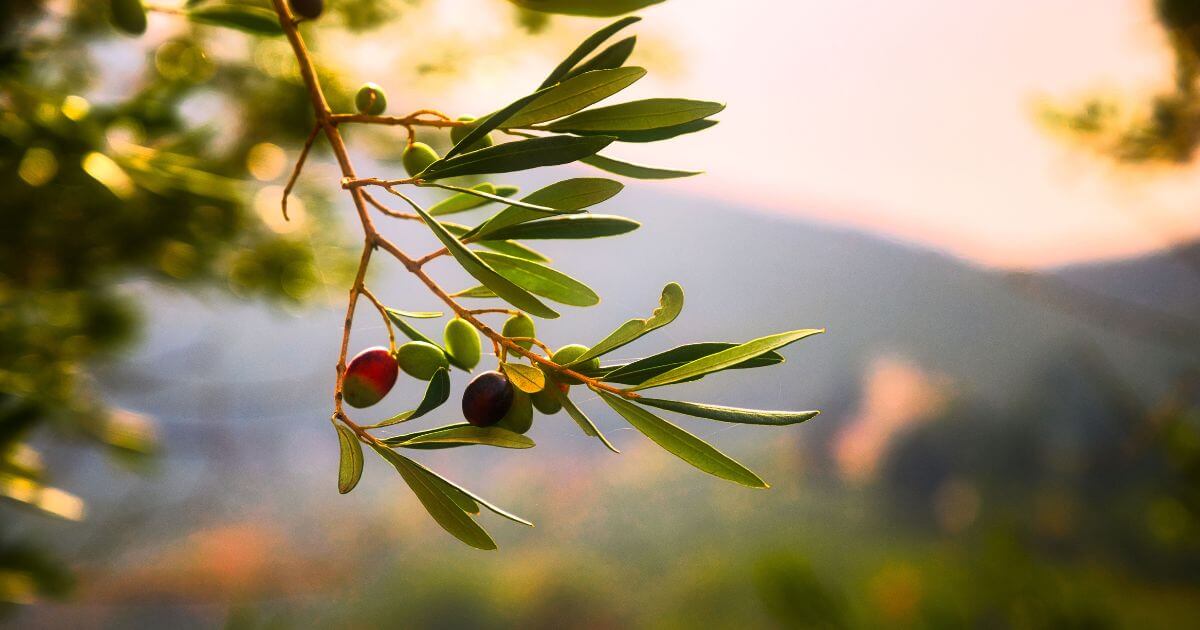 featured article image