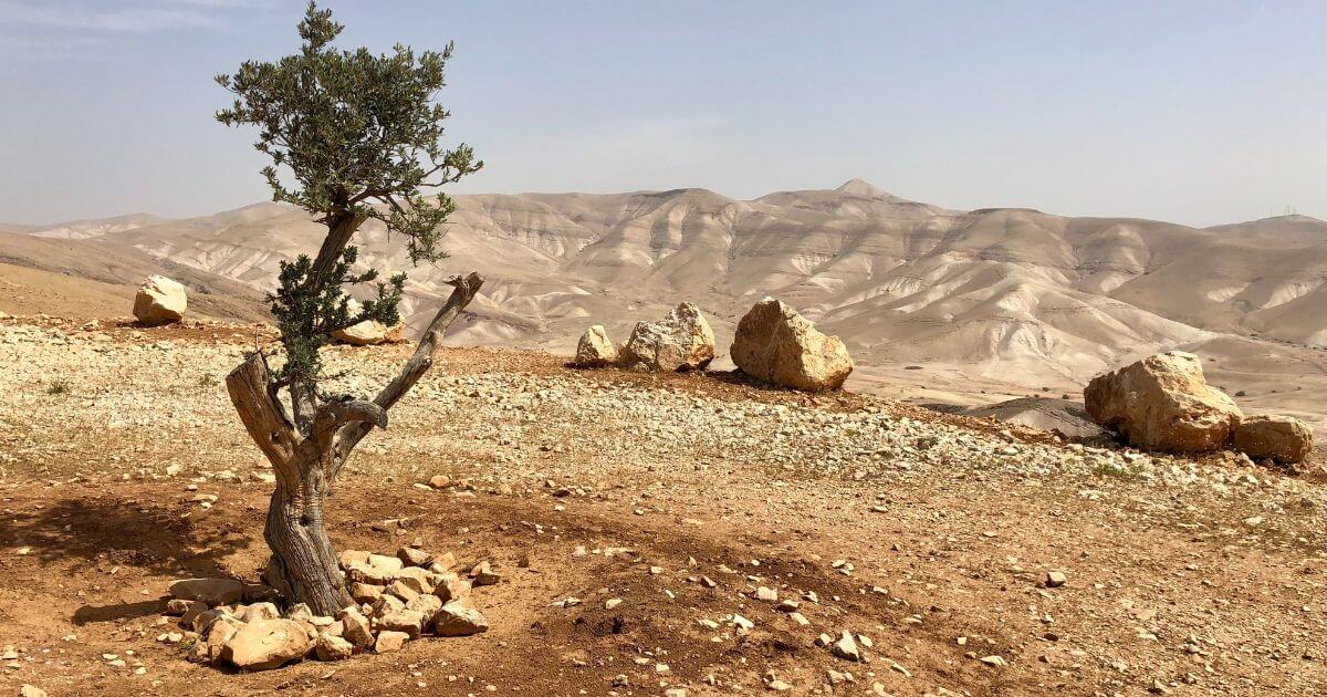 featured article image