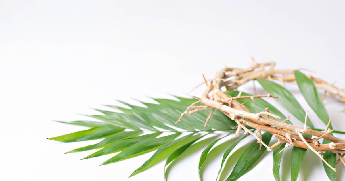 featured article image