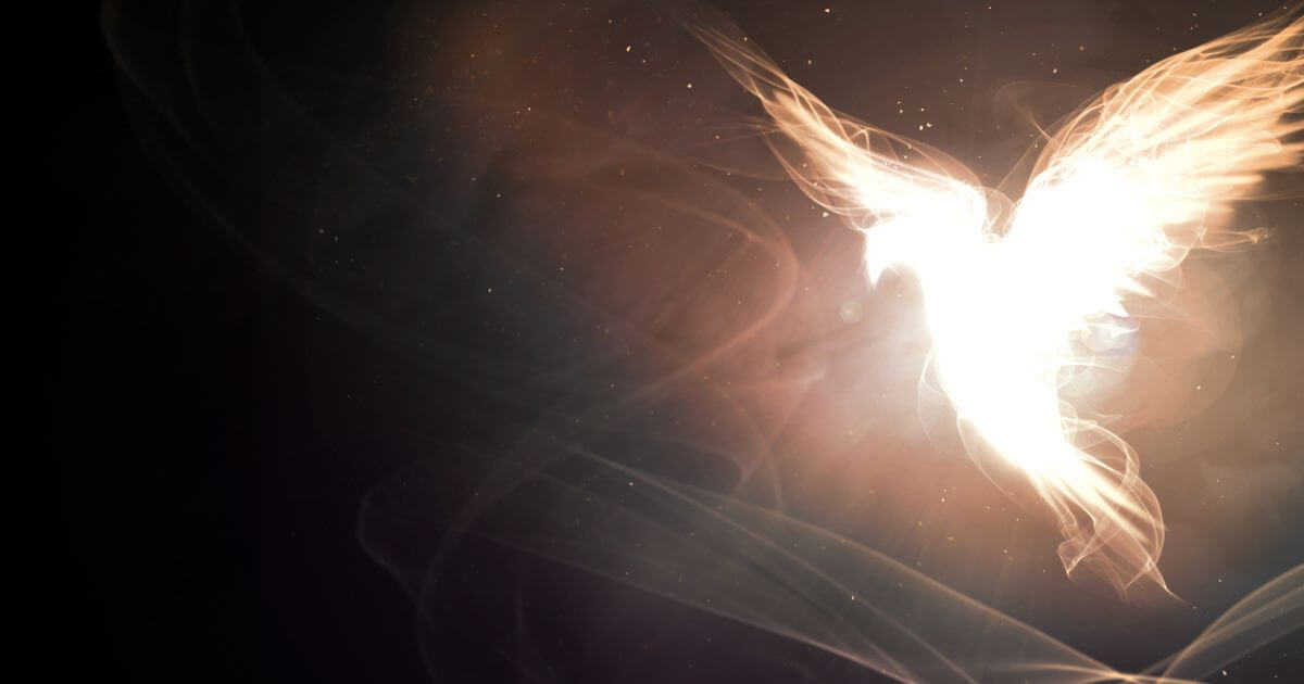 featured article image