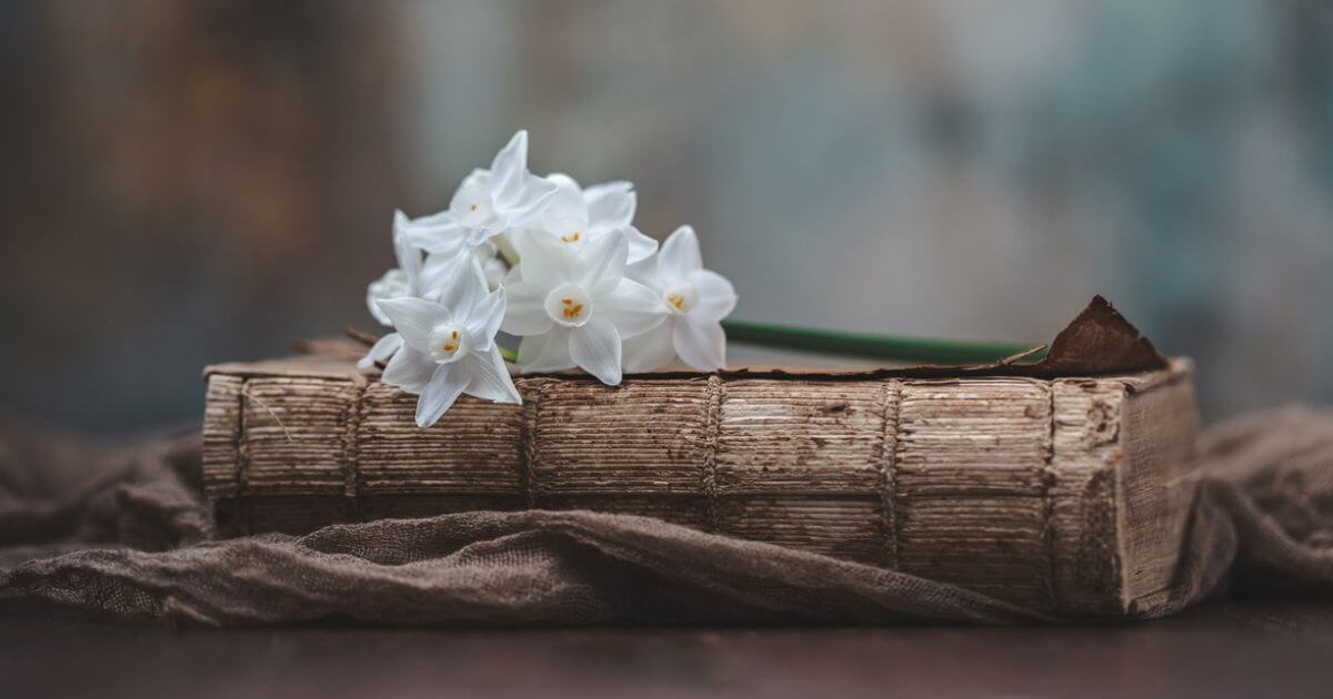 featured article image