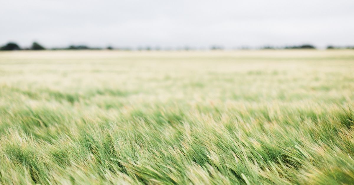 featured article image