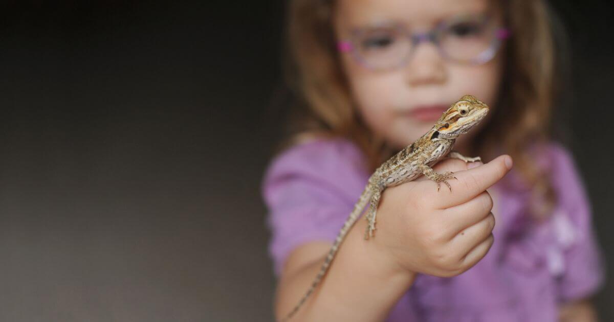 featured article image