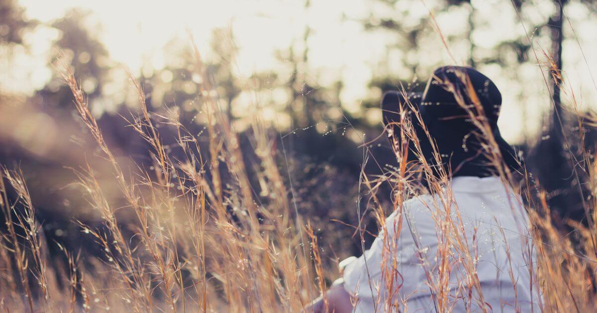 featured article image