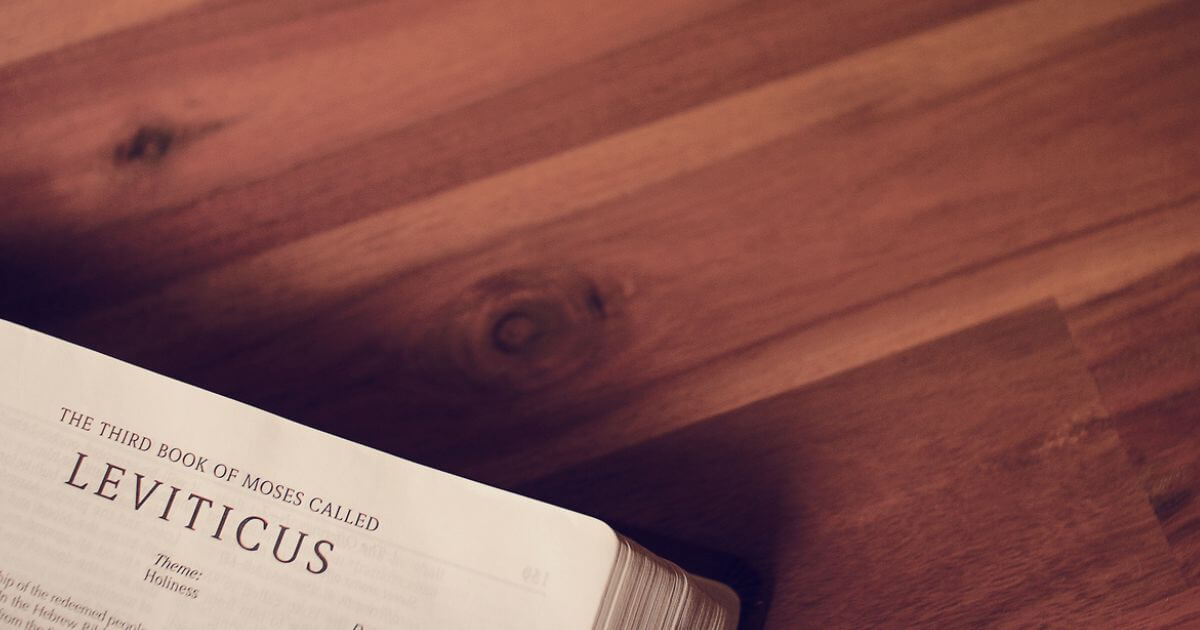 featured article image