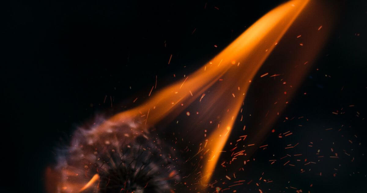 featured article image