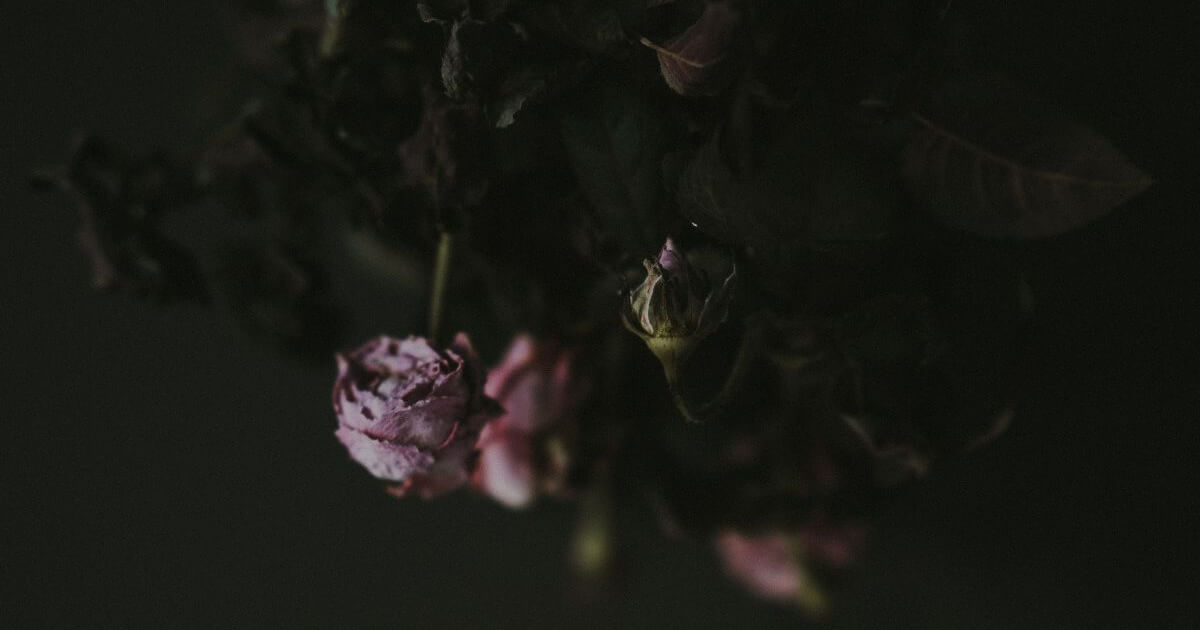 featured article image