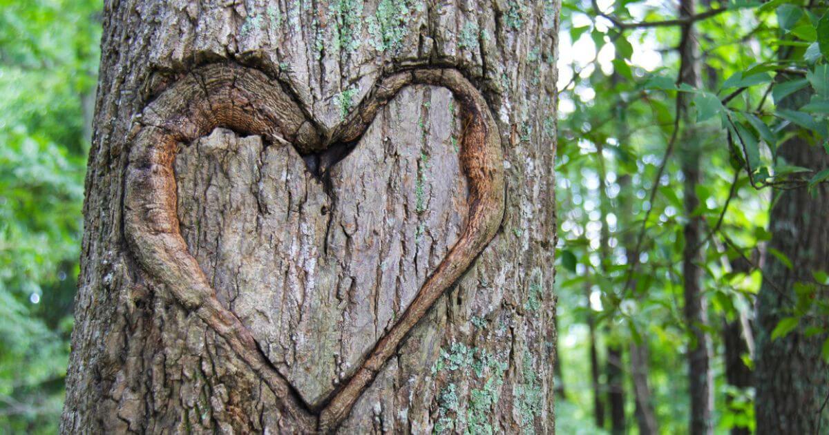 featured article image