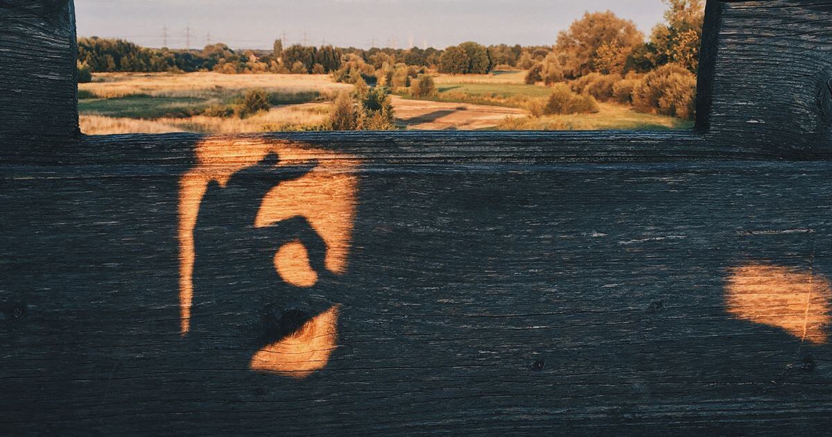 featured article image