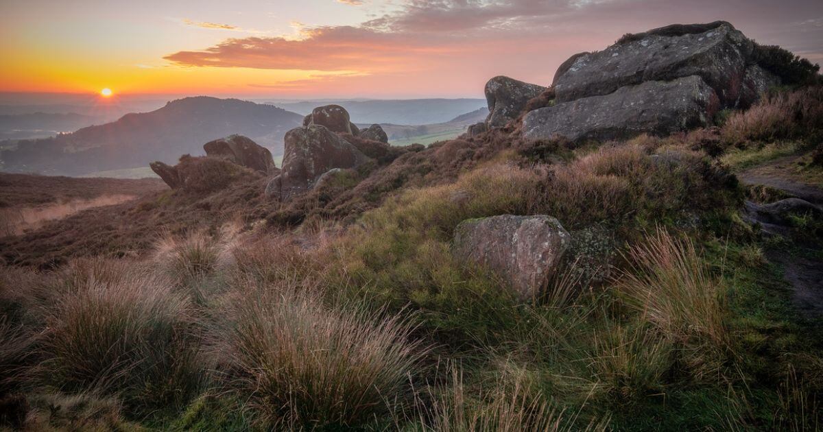 featured article image