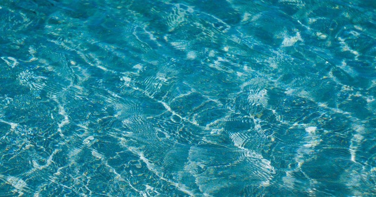 featured article image