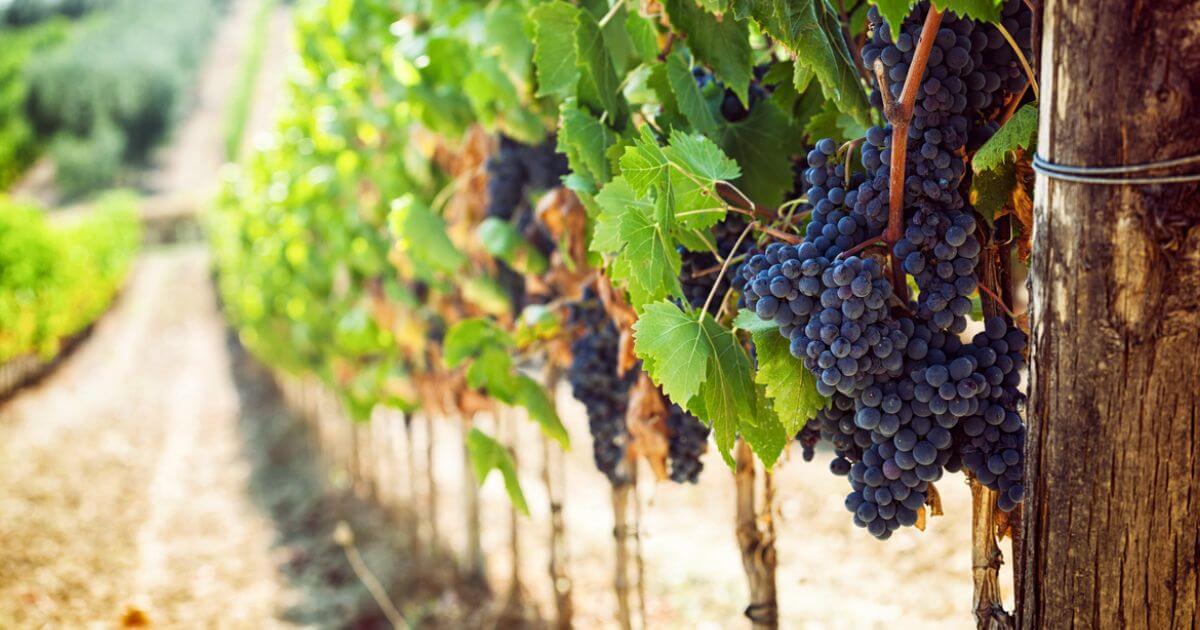 featured article image