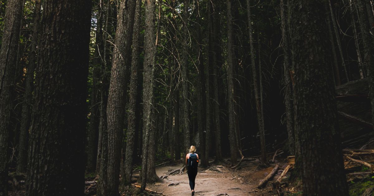 featured article image